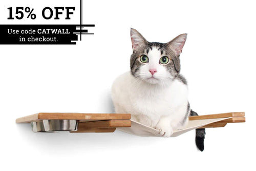 Wall Feeder Cat Hammock : Raised Cat Feeder