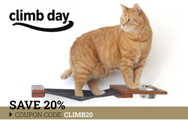 Cat standing on a wooden platform with 'climb day' branding and promotional text.