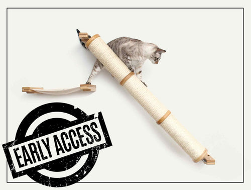 photo stamped with early access showcasing a cat  climbing down an angled cat scratcher ramp