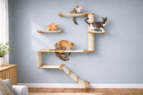 Cat tree with multiple levels and shelves against a light blue wall.