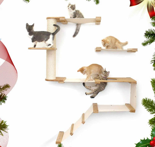 kittens playing on a wall mounted deluxe cat fort, set against a festive backdrop