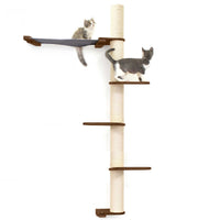 Cats on Crows Nest