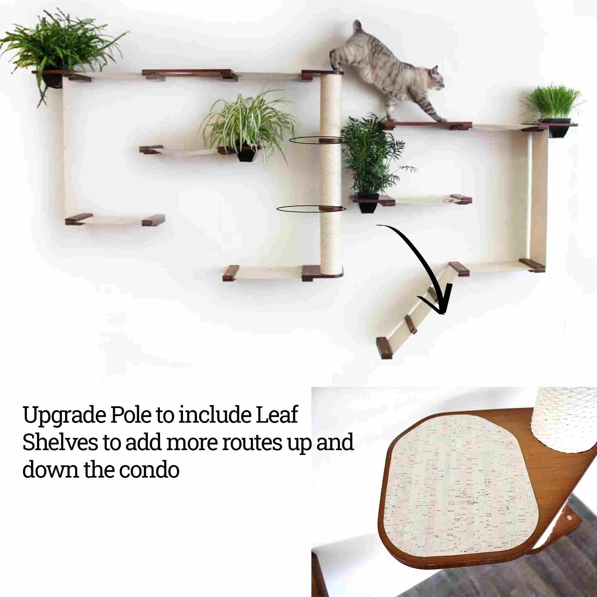 cat climbing on cat condo with pole shelves