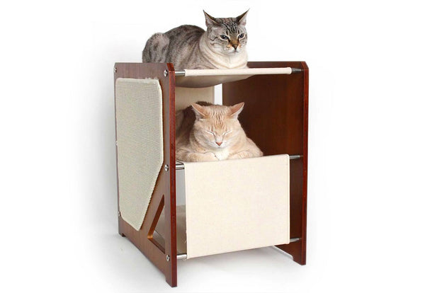 Two cats on a wooden cat shelf with beige cushion against a white background