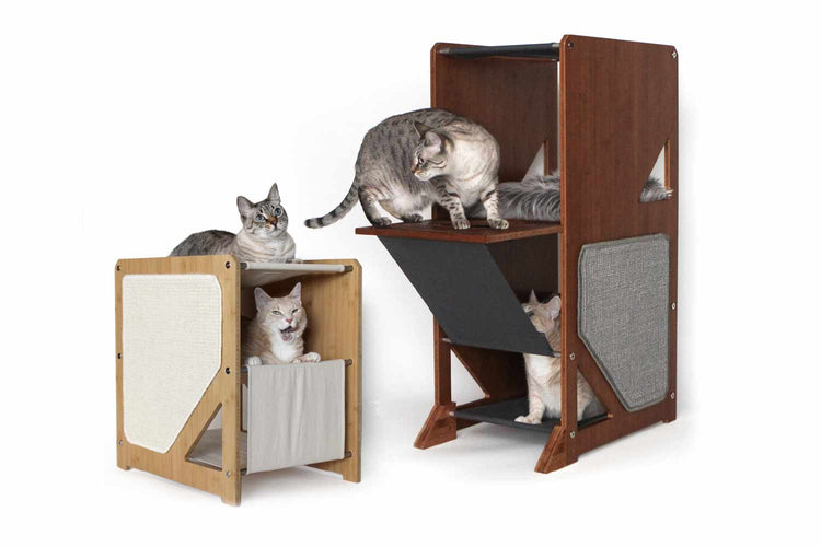 Grotto and Overlook cat trees shown with cats posing in various positions on the Cat Furniture