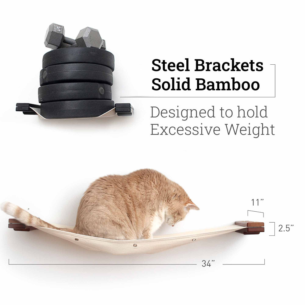 cat hammocks with weights and large cat to showcase durability