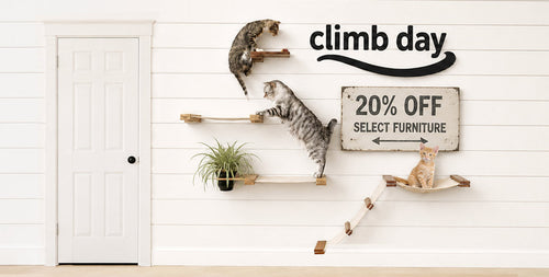 Cat climbing wall with 'climb day' branding and furniture sale sign.