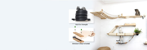 Cat climbing shelves and accessories on a white wall