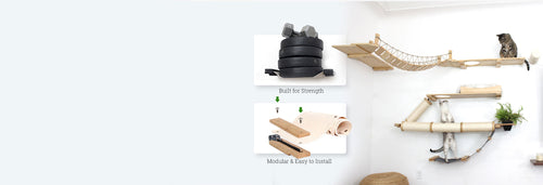 Cat climbing shelves and accessories on a white wall