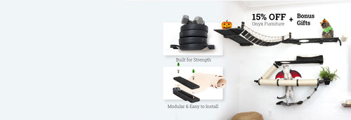 home page banner with cats playing on furniture