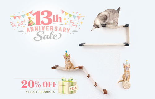 cats on sale items and anniversary sale logo