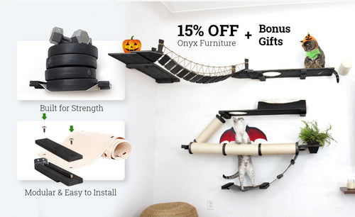 halloween themed sale with cats playing on furniture