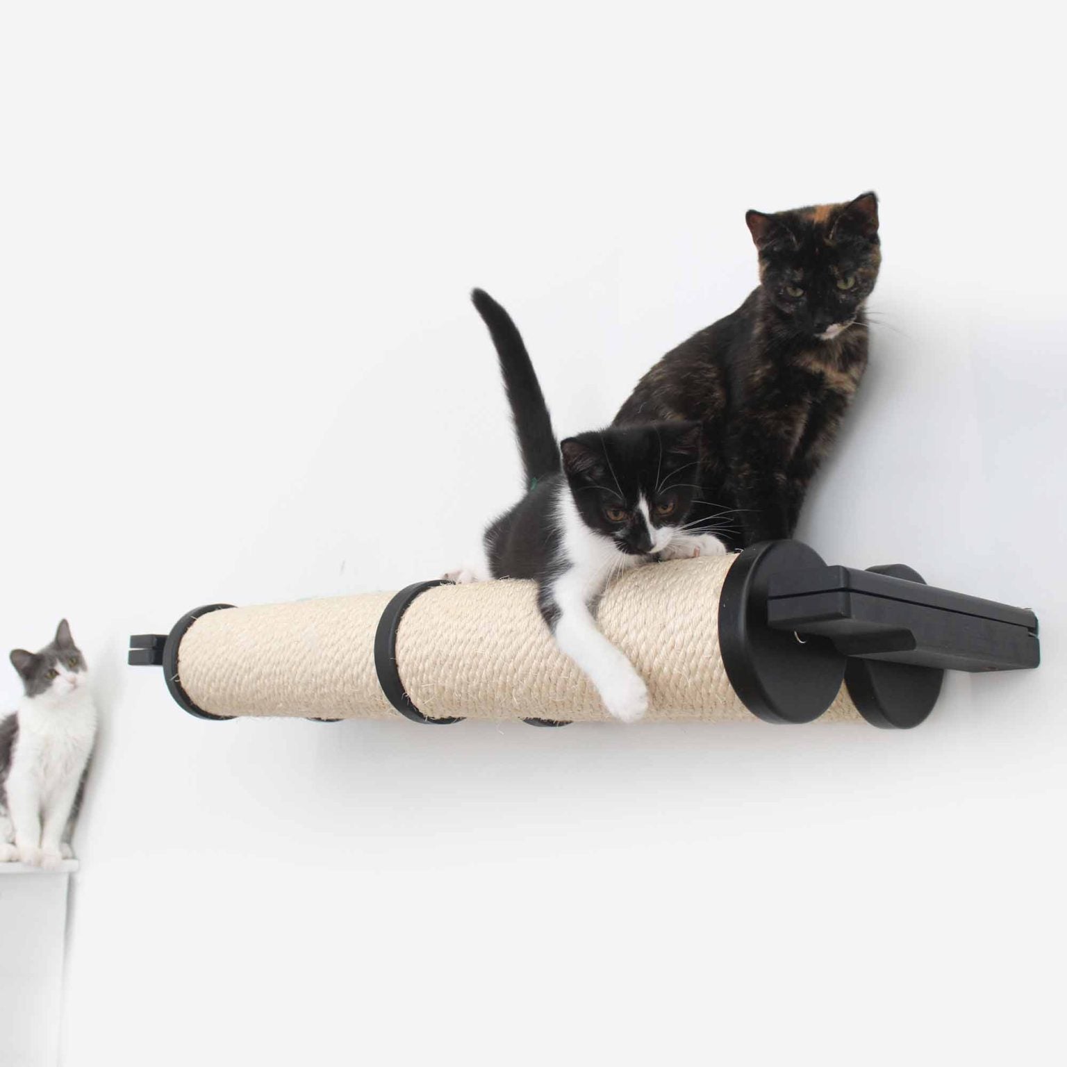 Two kittens play on a Double Horizontal Pole while a third watches.