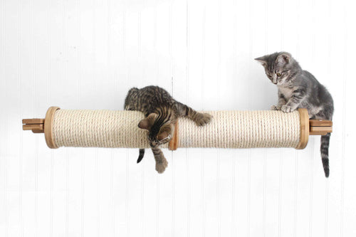 Two kittens playing on Horizontal Poles.
