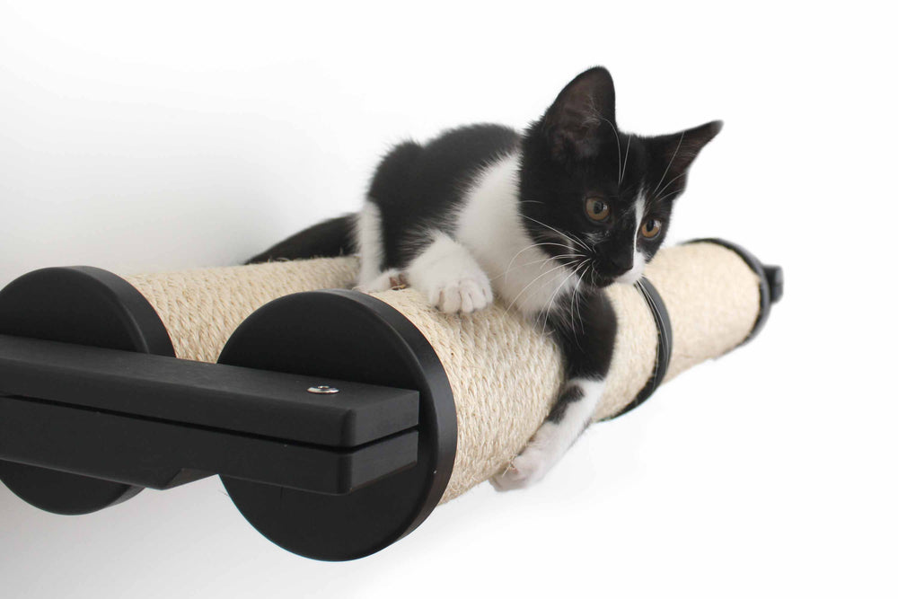 Black and white kitten plays on a Double Horizontal Pole. Onyx finish.