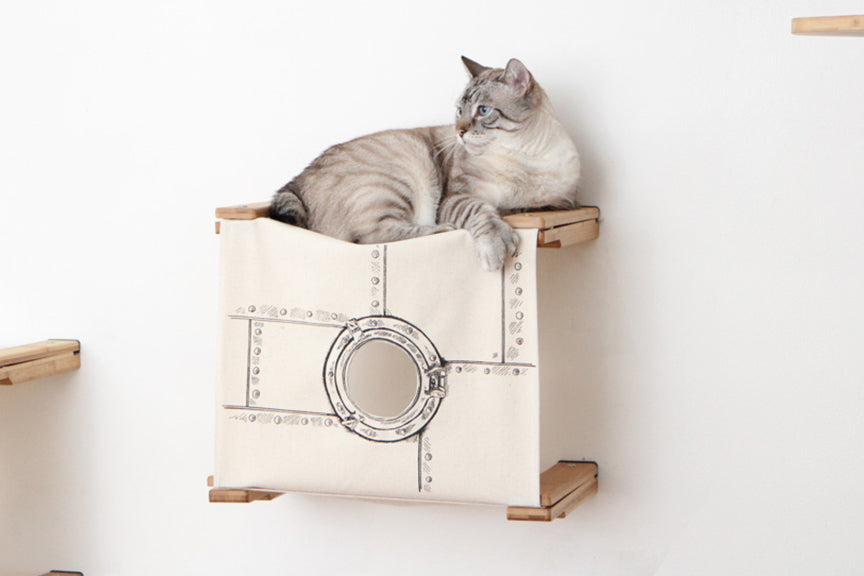 Grey cat lounging atop Standard Cubby in Natural with Porthole canvas.