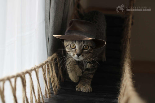 Cat wearing a brown hat in a cozy indoor setting