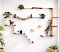 Cat play area with shelves, a bridge, and a scratching post on a white wall.