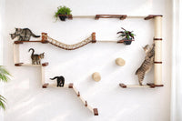 Cat climbing wall with shelves, a bridge, and scratching posts on a white wall.