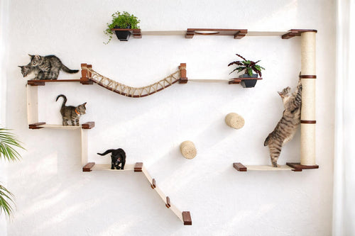 Cat climbing wall with shelves, a bridge, and scratching posts on a white wall.