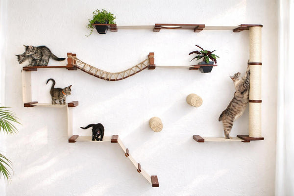 Cat climbing wall with shelves, a bridge, and scratching posts on a white wall.