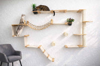 Cat play area with shelves and a hammock on a white wall.