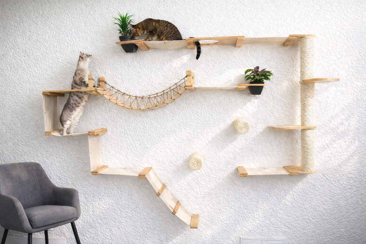 Cat play area with shelves and a hammock on a white wall.