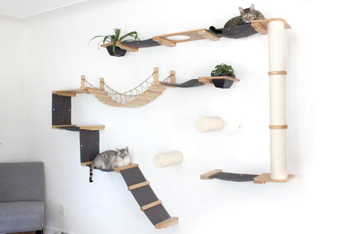 cats resting on large cat tree with no pole shelves