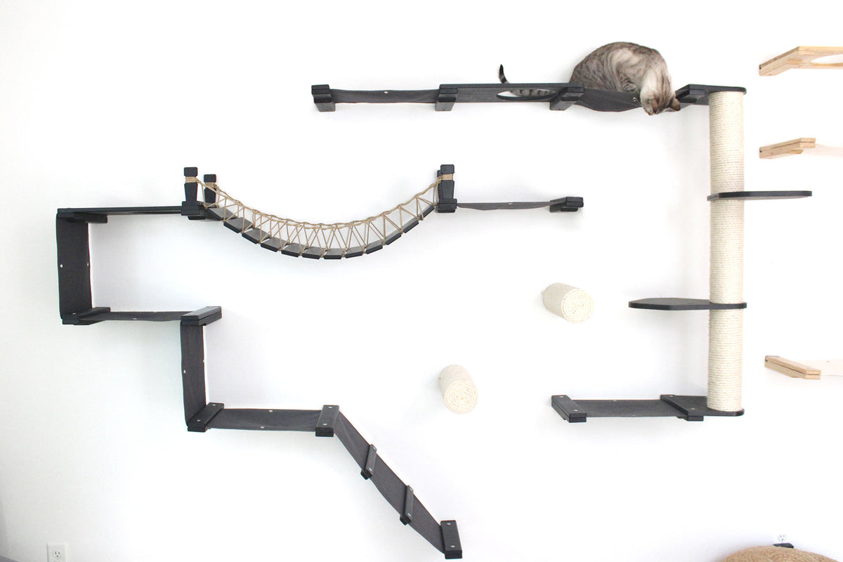Cat play structure with shelves, a hammock, and climbing features on a white background