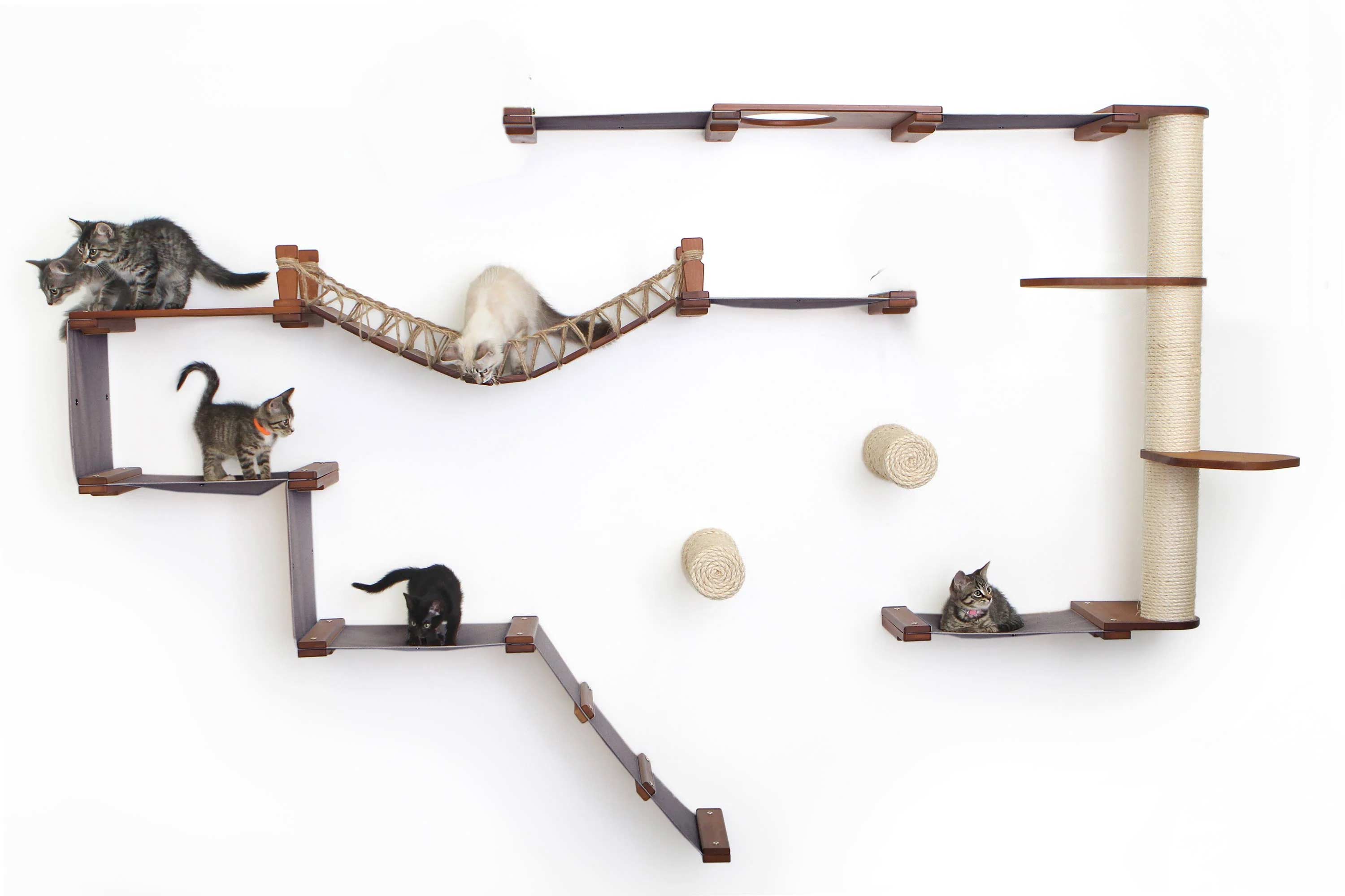 Cat play structure with shelves, a hammock, and climbing elements on a white background