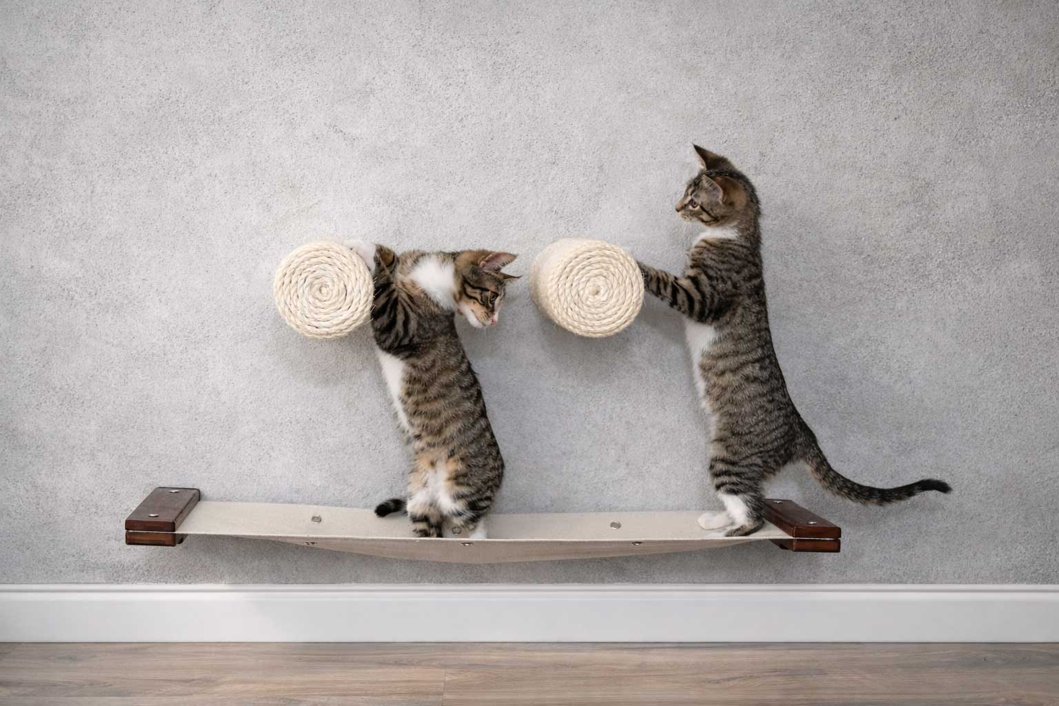 kittens playing on cat straching wall posts