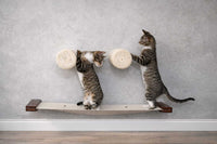 kittens playing on cat straching wall posts