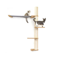 Cats on Crows Nest