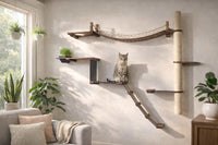 Cat sitting on a wall-mounted cat shelf with plants and a couch in the background