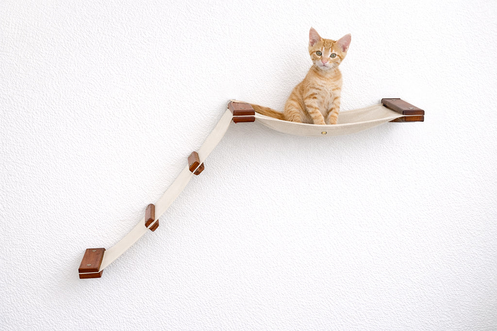 cat sitting on brown cat hammock with ladder