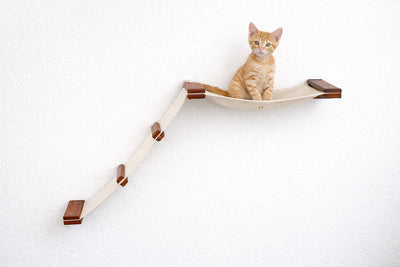 cat sitting on brown cat hammock with ladder