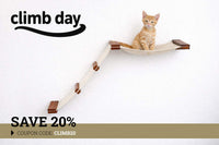 cat laying on hammock with 20% off text