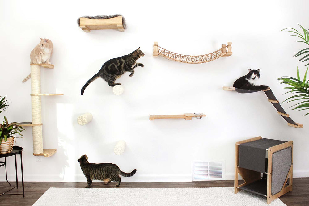 4 cats playing on various pieces of equipment. Finishes shown are Natural, fabric is Charcoal canvas.