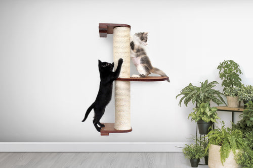 two kittens playing on the Deluxe Cat Scratching Pole