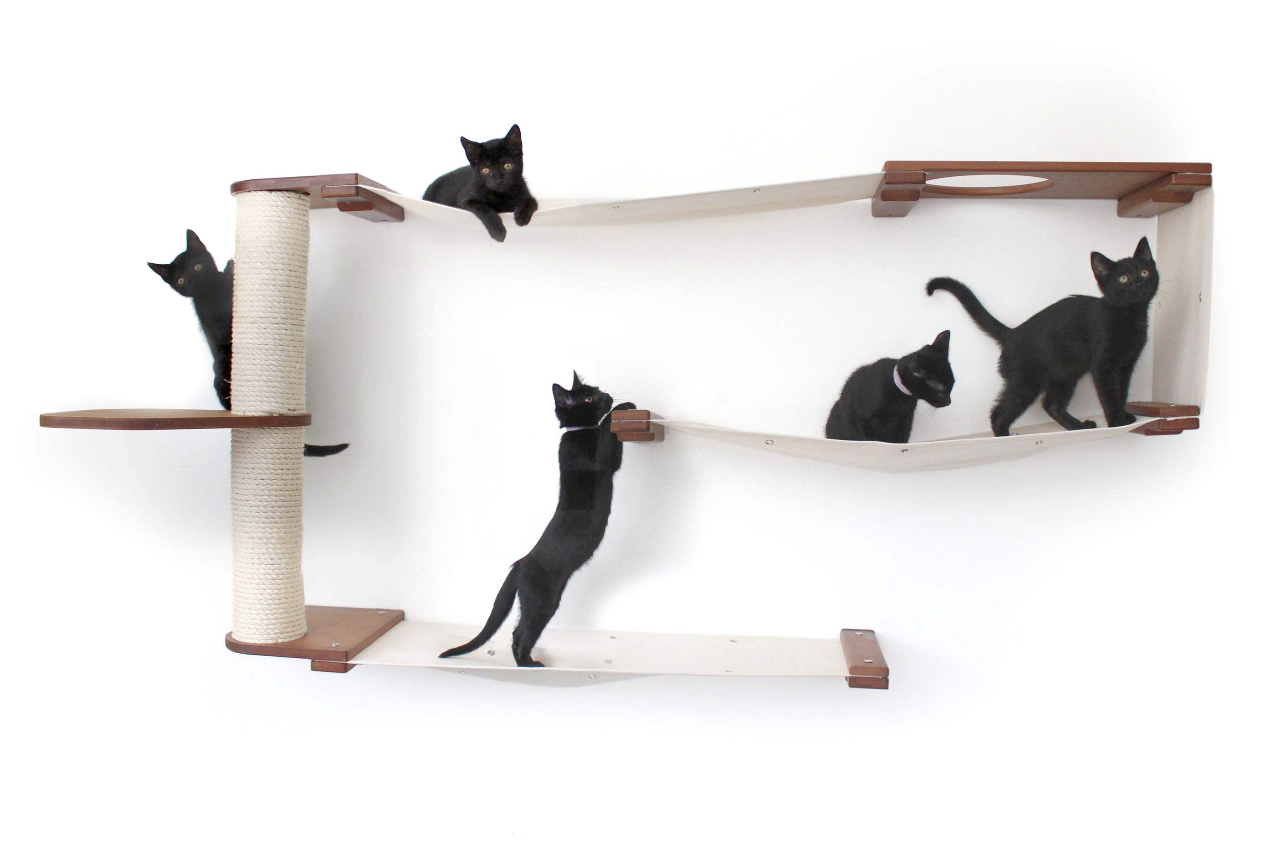 multiple kittens scampering on a wall mounted deluxe cat maze