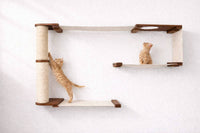 Cat climbing a wall-mounted cat tree with shelves on a white wall.
