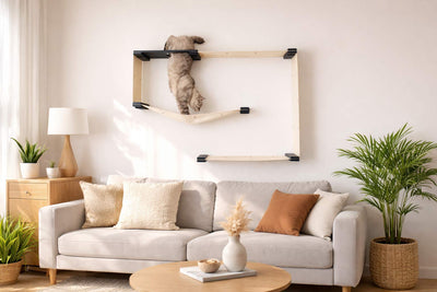Living room with a gray sectional sofa, cat on a shelf, and plants.