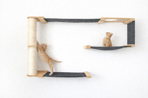 Cat climbing a wall-mounted cat tree with two cats on different levels.