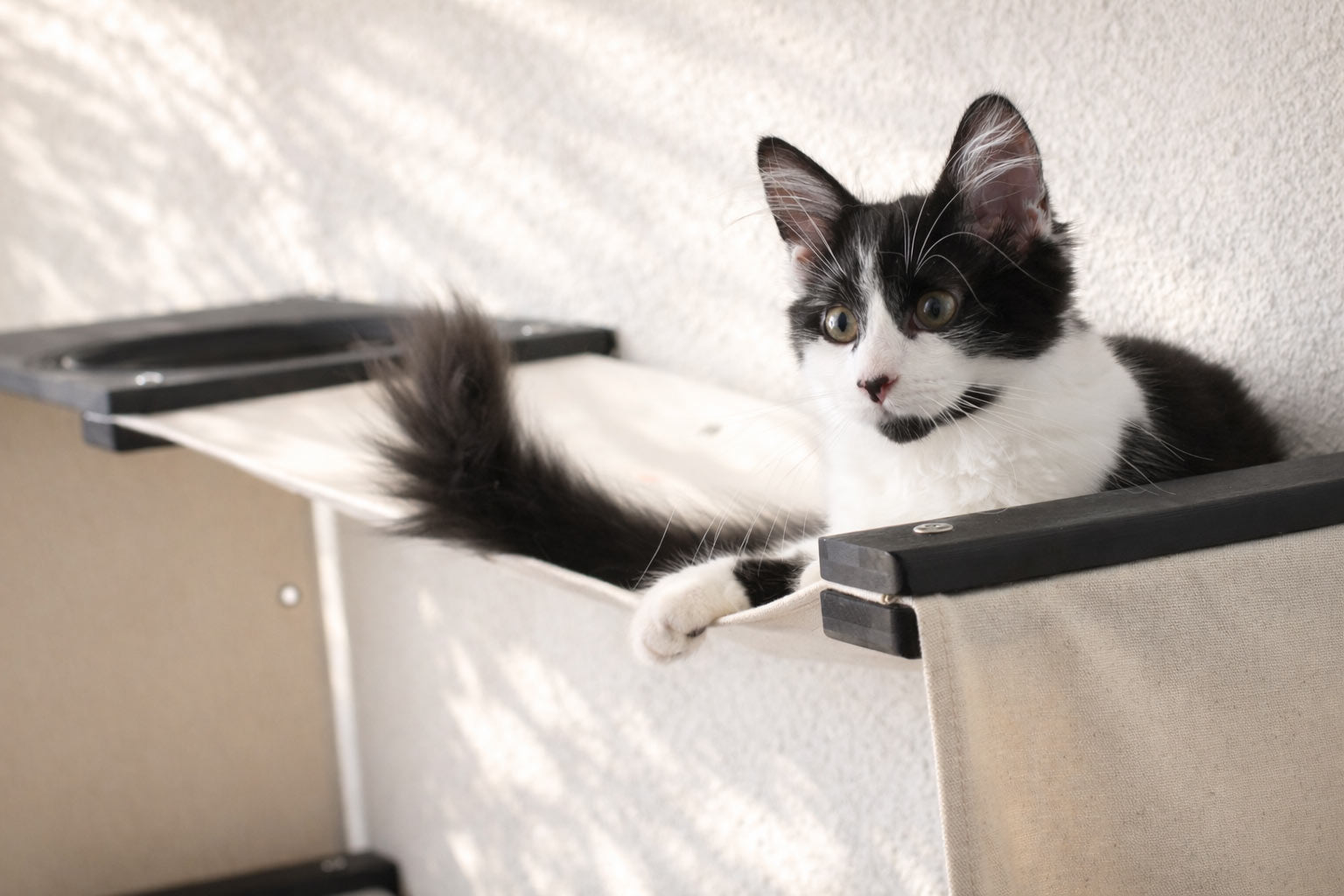 Black and white cat sitting on a metal shelf against a white wall.