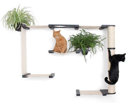 cats on cat condo with plants