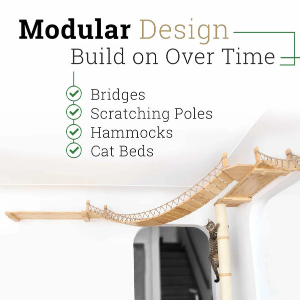 cat climbing on pole in living room setting