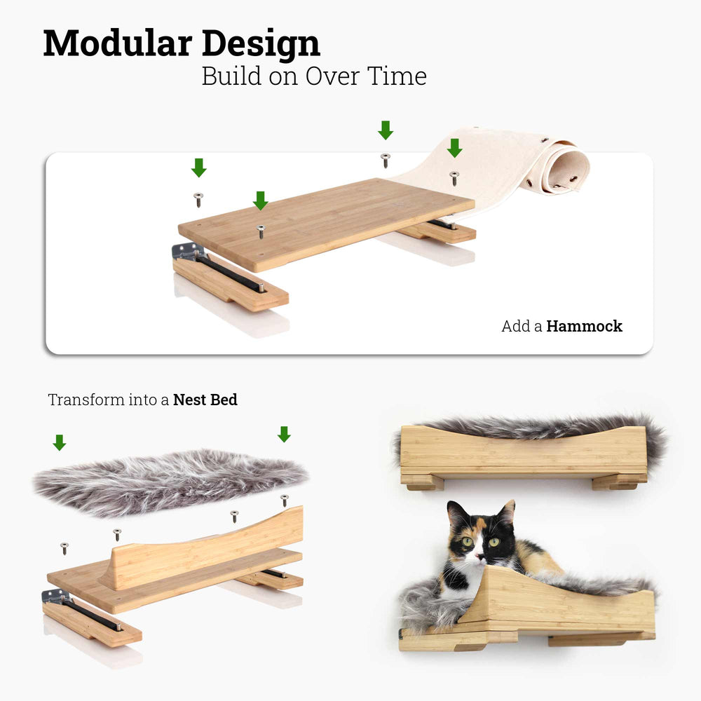 Showcasing the various comfortable upgrades you can add to the wall mounted cat shelves