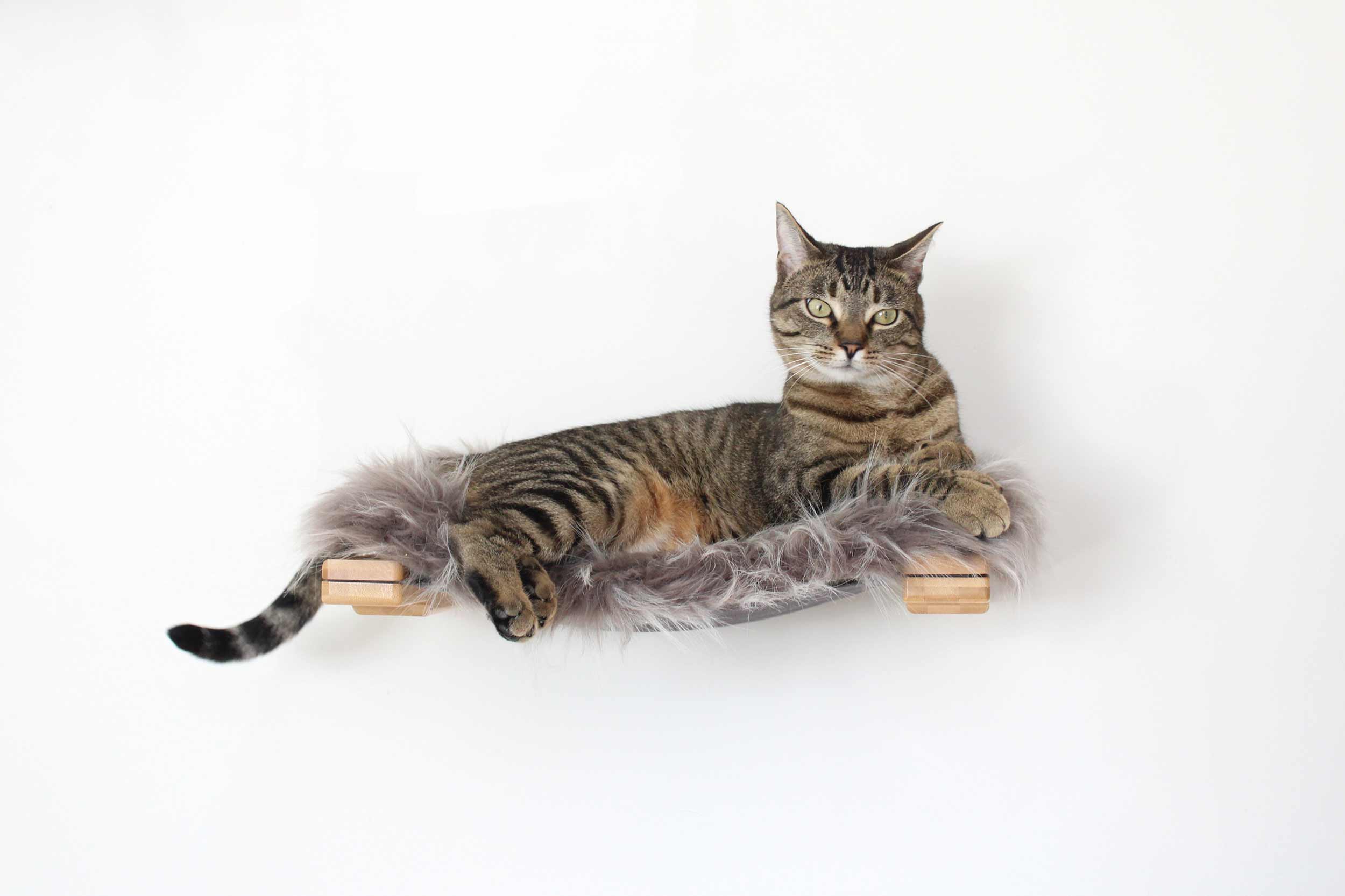 cat laying on hammock with gray plush pad
