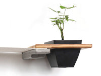 planter shelf for cats in natural stain