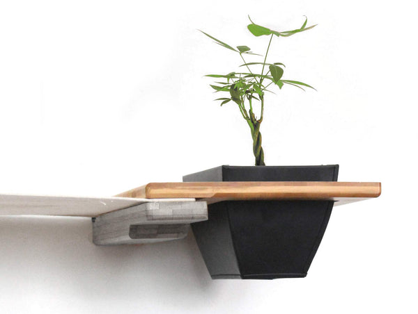 planter shelf for cats in natural stain